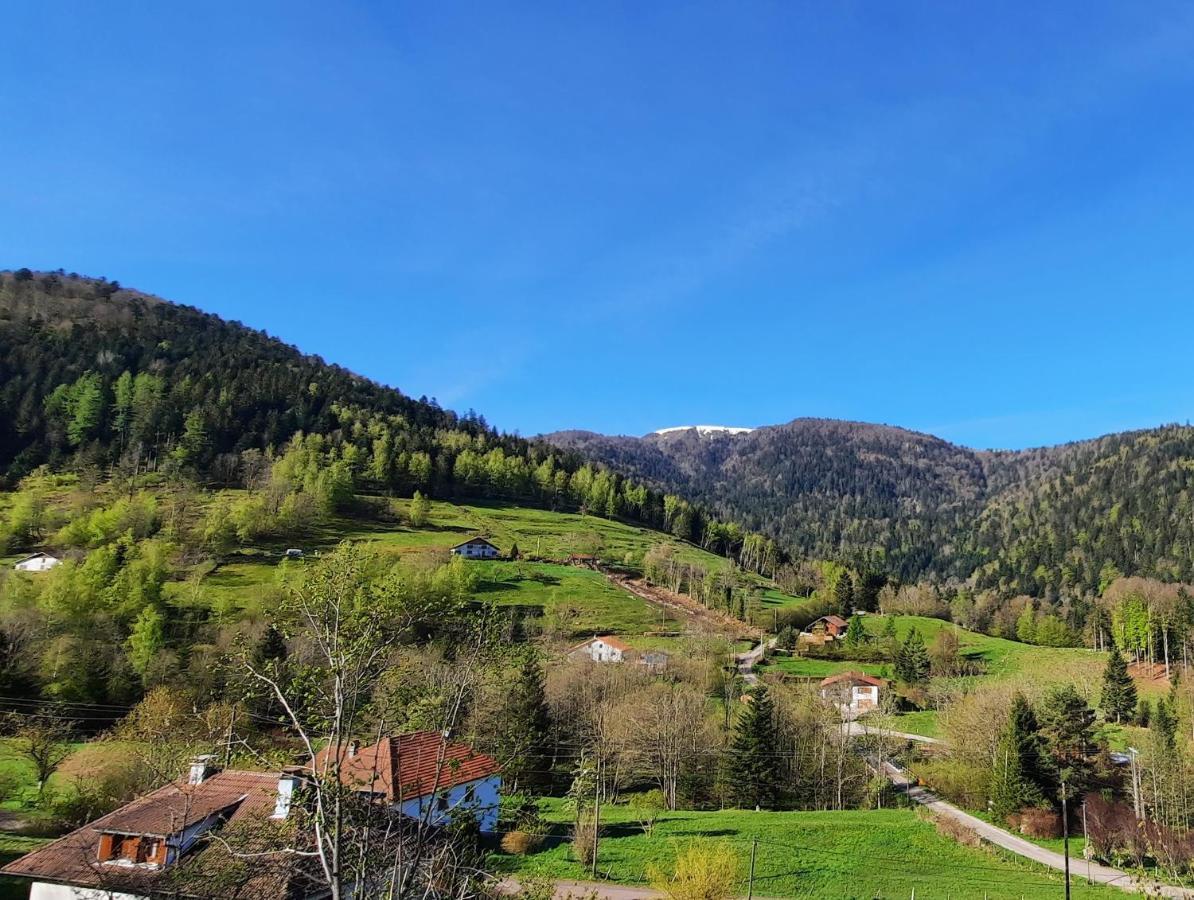 Gite Des 3 Jonquilles Saint-Maurice-sur-Moselle Eksteriør billede