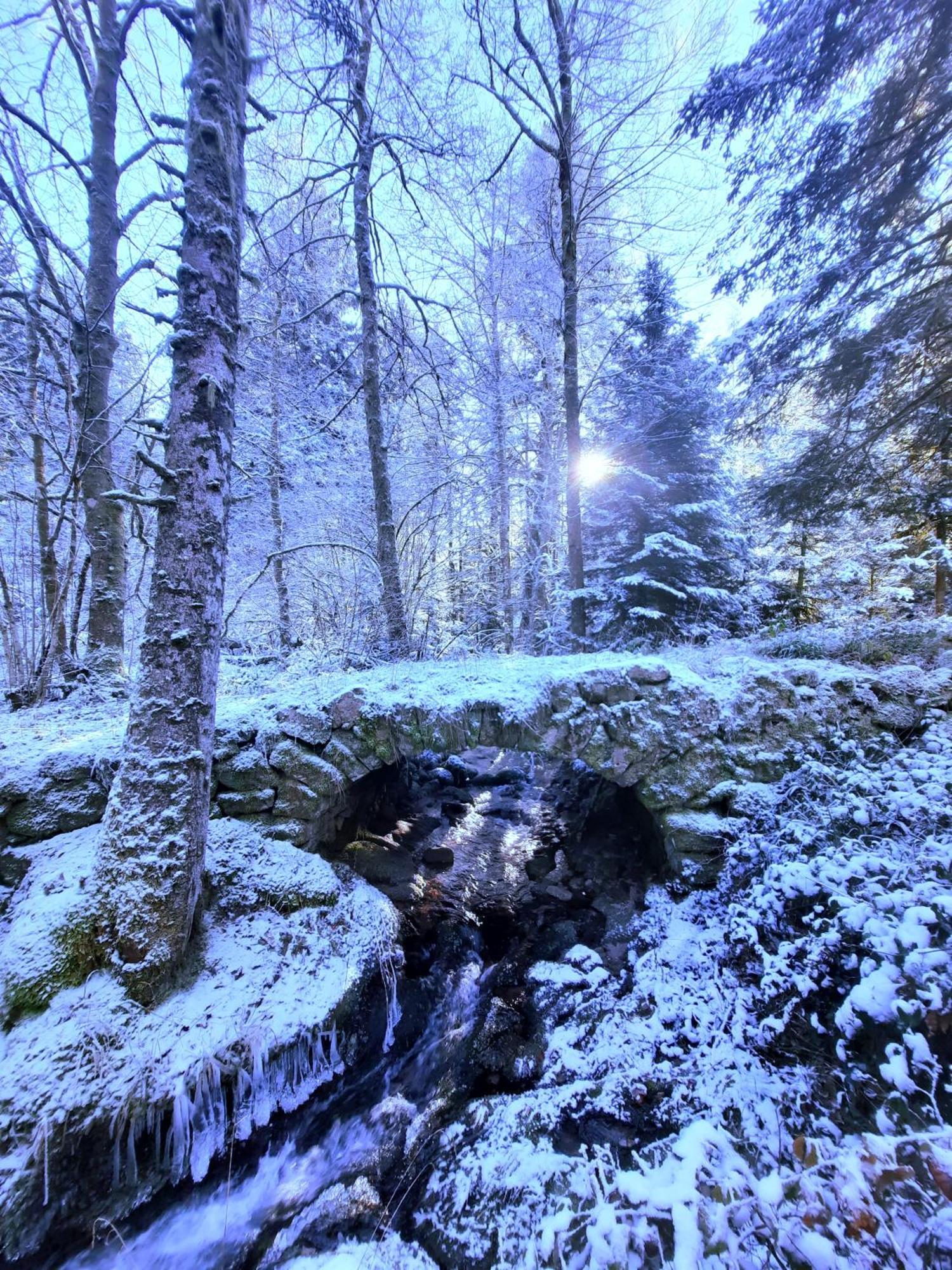 Gite Des 3 Jonquilles Saint-Maurice-sur-Moselle Eksteriør billede